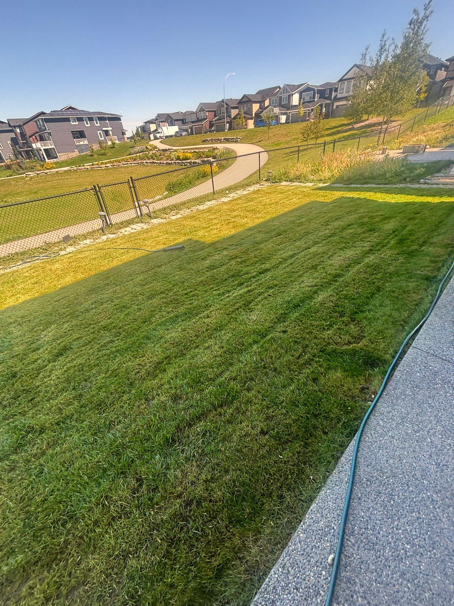 Calgary lawn care