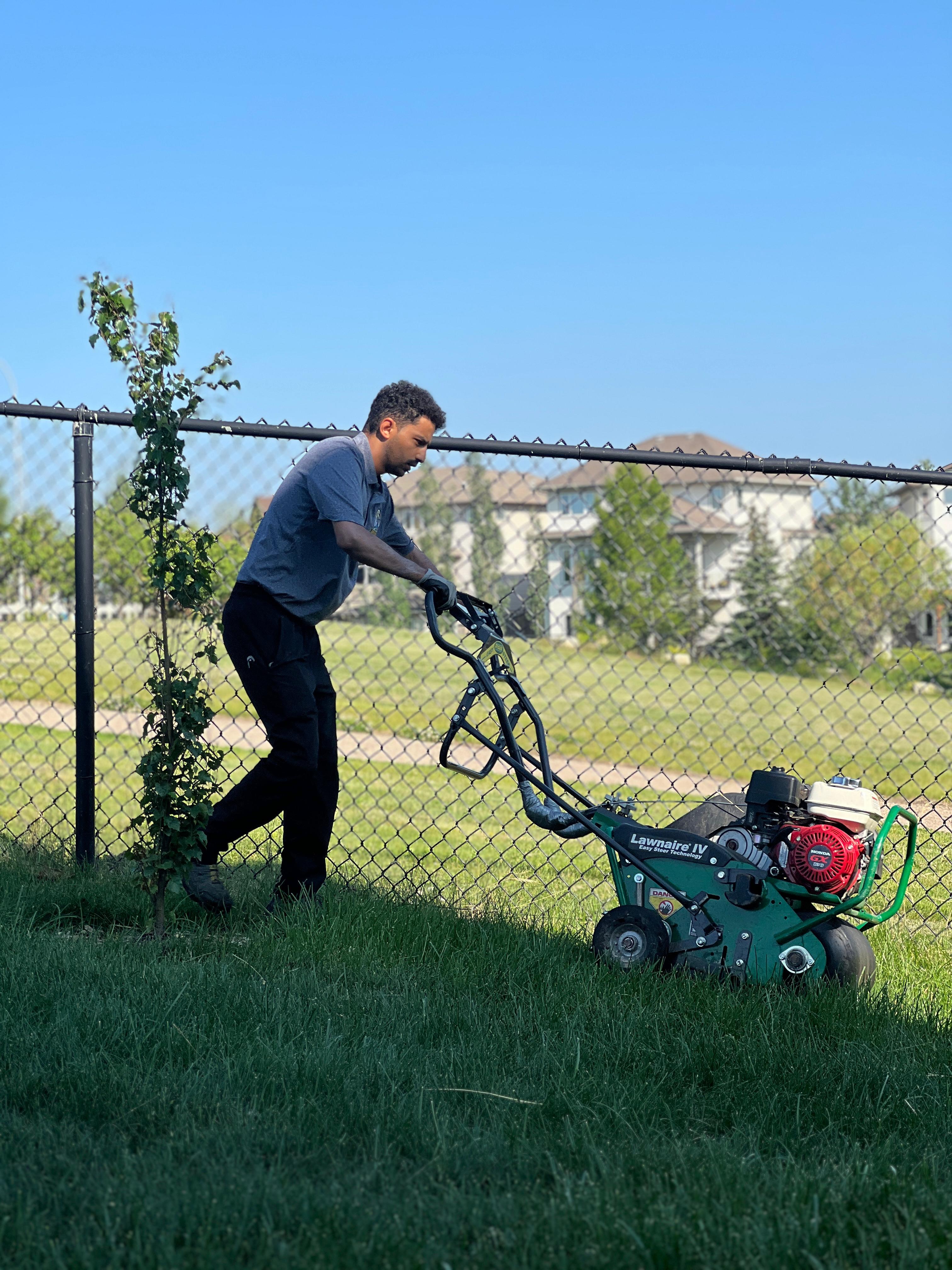 Core aeration Calgary