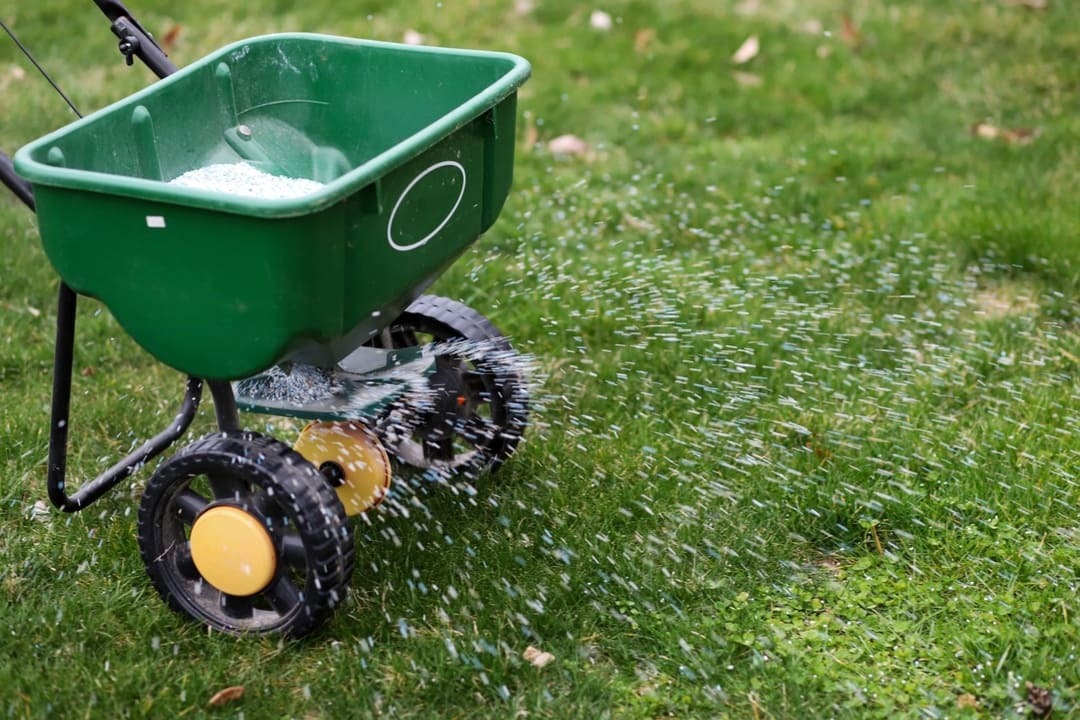 Lawn fertilization Calgary