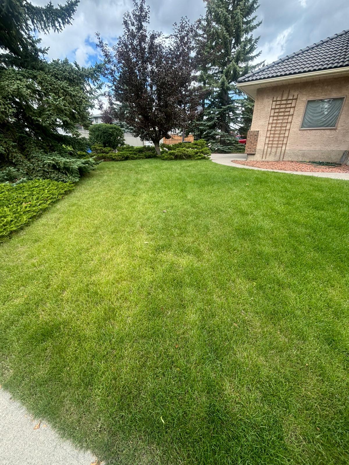 Calgary lawn care