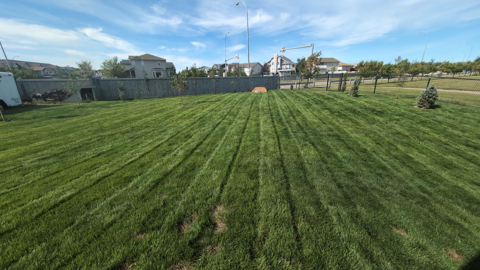 Freshly mowed lawn by Greenland Lawn Care