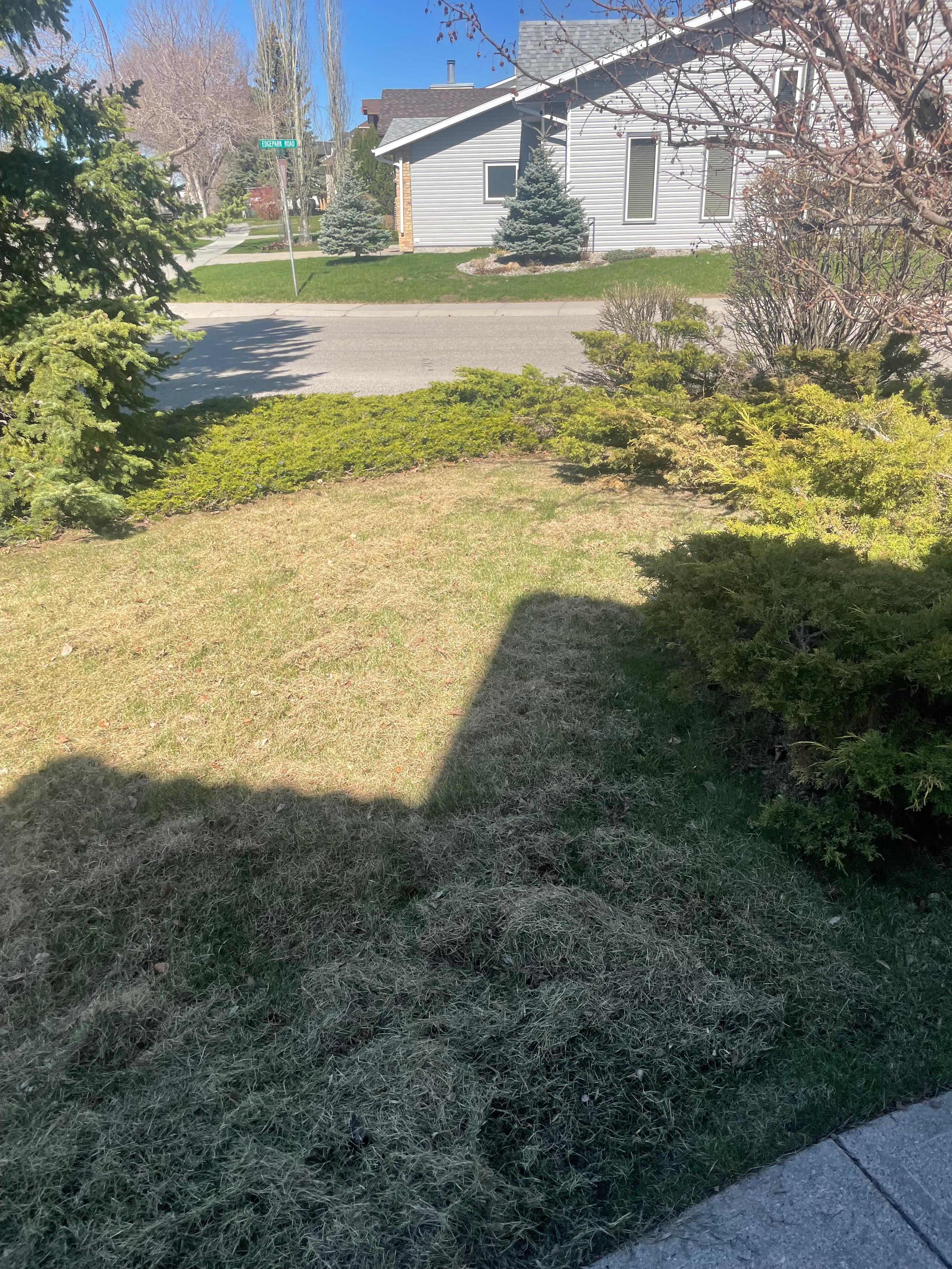 Spring cleanup