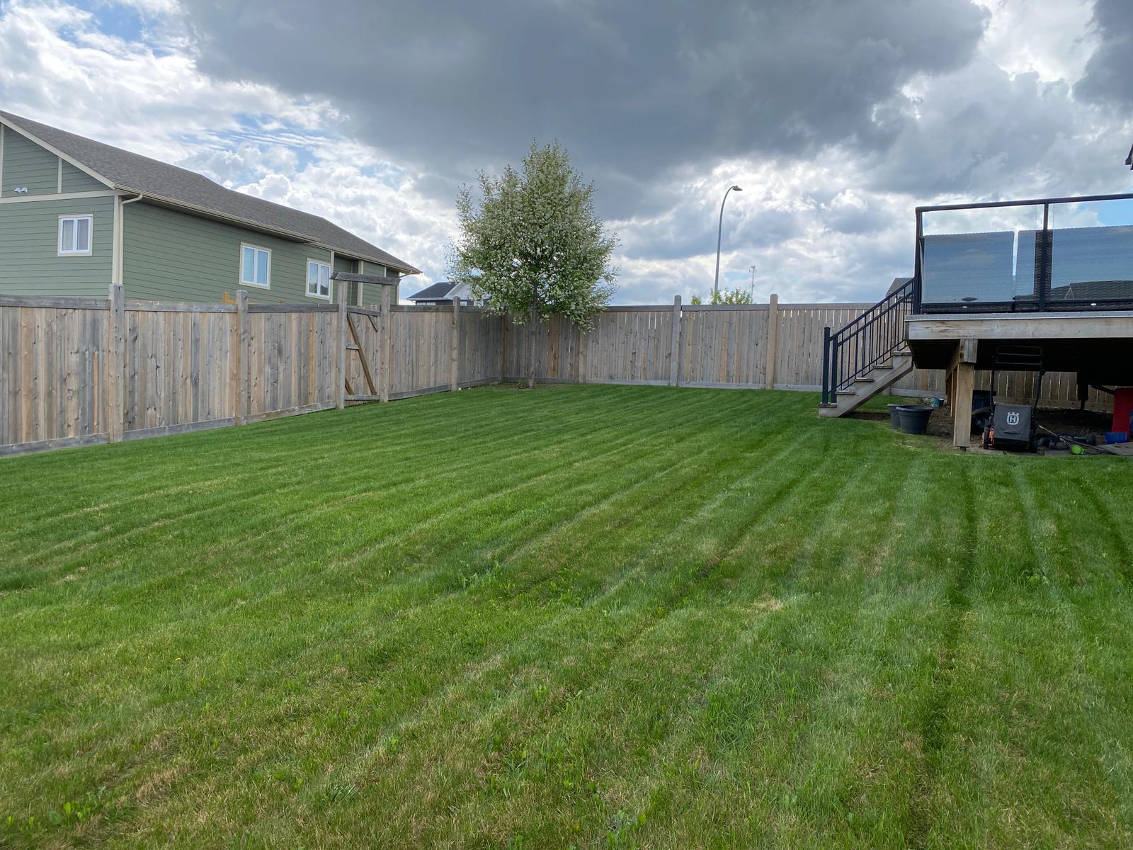 Freshly mowed lawn by Greenland Lawn Care